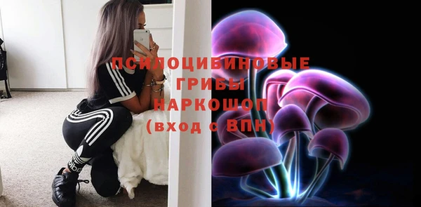 дживик Алексин