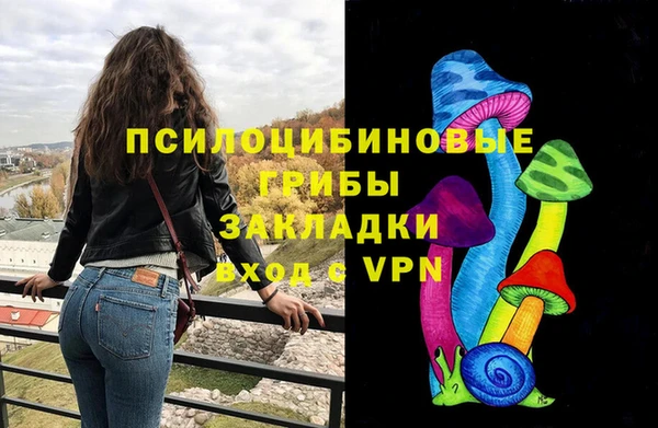 дживик Алексин