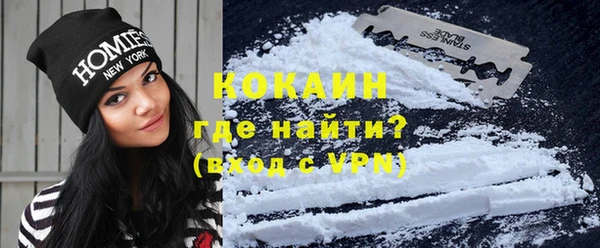 дживик Алексин