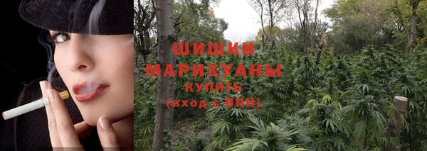 молекула духа Алзамай