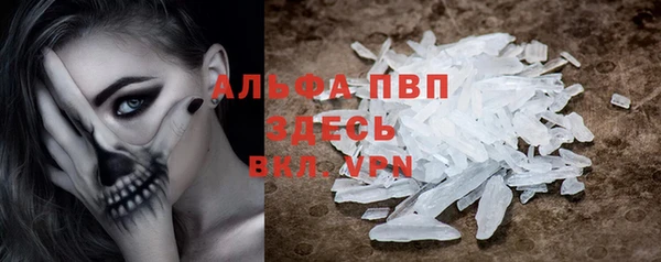 индика Абаза